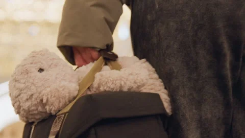 Individual with plush bear on backpack amidst holiday decorations. Person Stock Footage 345526213