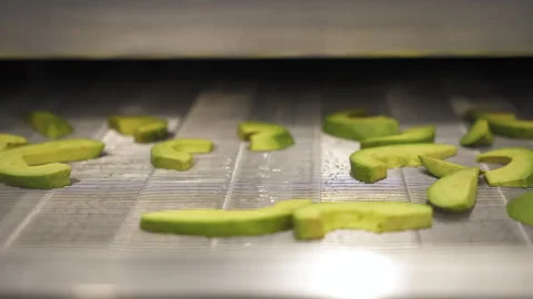 Individual Quick Freezing Conveyor With Hand Placed Avocado Wedges 스톡 동영상 346738983