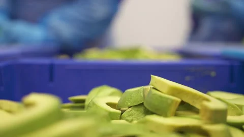 Individual Quick Freezing Line Blue Crate Filled With Cut Avocado Pieces 스톡 동영상 346738918