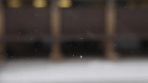 Individual snowflakes sit on a windowsill Stock Footage 112635366
