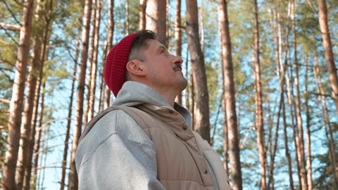 An individual stands in a forest, observing the tall trees above while sunlight Stockbeeldmateriaal 337642968