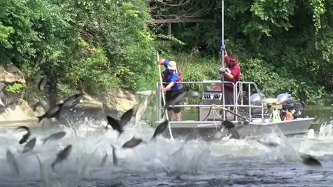 Individuals on a boat make attempts to fish in USA Stock Footage 277526814
