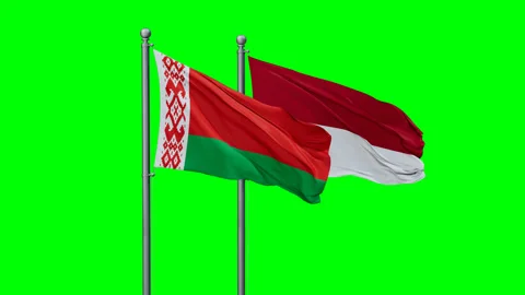 Indonesia and Belarus two flags Stock Footage 292789621