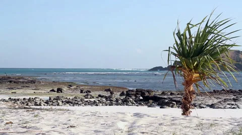 Indonesia coast line. Stock Footage 27489399
