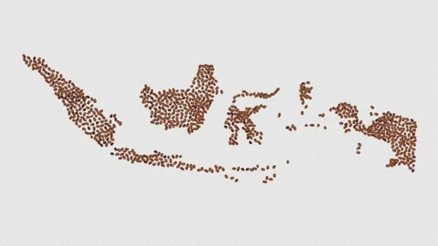 Indonesia Coffee Beans Stock Footage 152667484