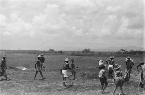 Indonesia. [DLC] Implementation of genie work. Farm workers. November 1946. Ind Stock Photos