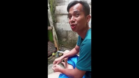 Indonesia: Doting pet owner hand-feeds his parakeets in the garden 動画素材 321272965