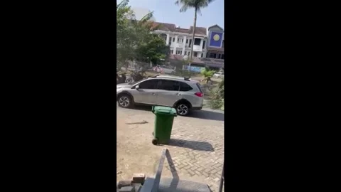 Indonesia: Falling coconut tree narrowly misses vehicles in Medan, North ... 動画素材 328501325