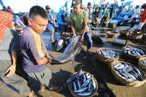 Indonesia fisheries export decrease due to the Middle East war, Banda Aceh, Idon Stock Photos