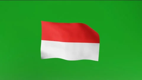 Indonesia Flag Animation Stock Footage 161859901
