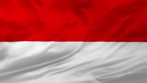 Indonesia flag background Stock Footage 263943116