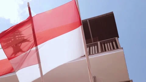Indonesia flag develops on a flagpole Video stock 202137919