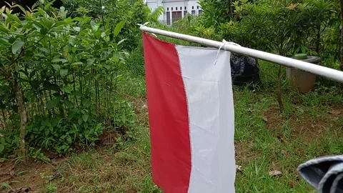 Indonesia flag 스톡 동영상 157568311