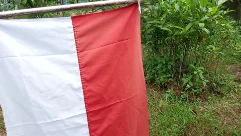 Indonesia flag 스톡 동영상 157568372