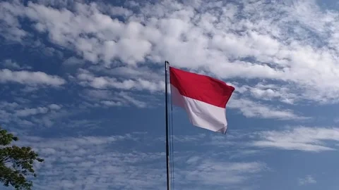 The Indonesia flag 動画素材 204884689