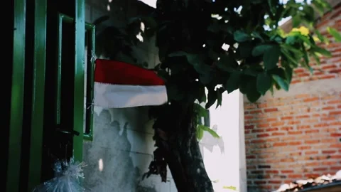 Indonesia flag Stock Footage 205016580