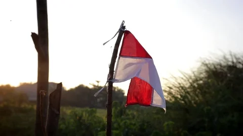 Indonesia flag Stock Footage 205016583