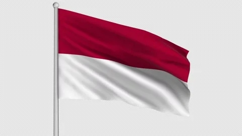 Indonesia Flag Stock-Footage 208957058