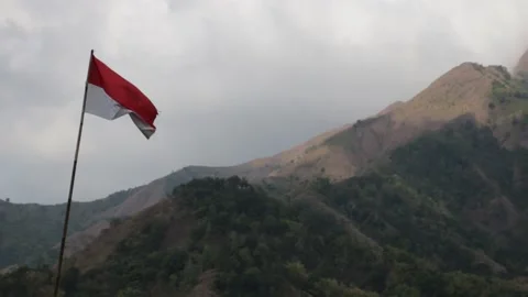 Indonesia Flag Stock Footage 209499634