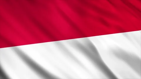 Indonesia Flag Stock Footage 249032471
