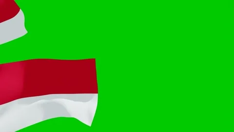 Indonesia flag Video stock 260518205