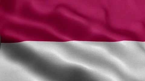 Indonesia flag Front Stock Footage 318665824
