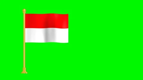 Indonesia flag illustration Stock Footage 197559562
