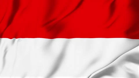 Indonesia flag loop animation with fabric texture, seamless waving background Stock Footage 342673080