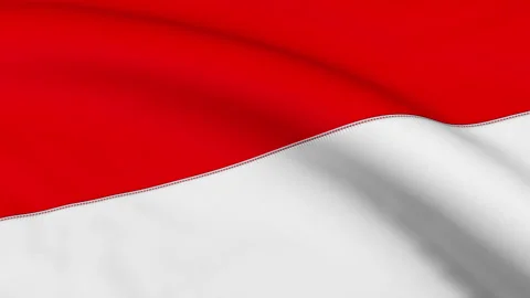 Indonesia Flag Loop Stock Footage 241219353