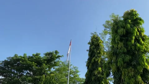 Indonesia flag on a pole against a backdrop of green trees and a clear blue sky Stock Footage 227068572