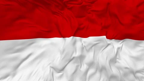 Indonesia Flag Seamless Looping Background Slow Motion Waving Stock Footage 233489319