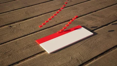Indonesia Flag - Slow Motion Video stock 318780976
