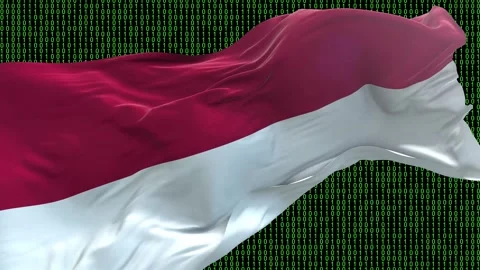 Indonesia flag - Waving flag on matrix binary code background Stock Footage 321421262