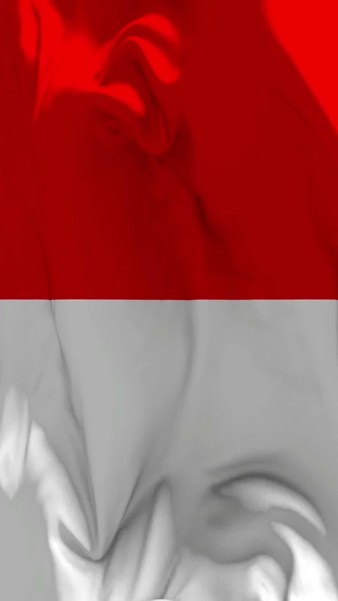 Indonesia Flag Waving in Slow Motion Loop Animation, Vertical Format Stock Footage 337819704