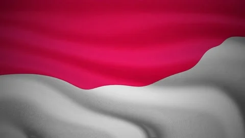 Indonesia Flag waving in wind Video stock 158494780