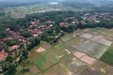 Indonesia: Food Security Stock Photos