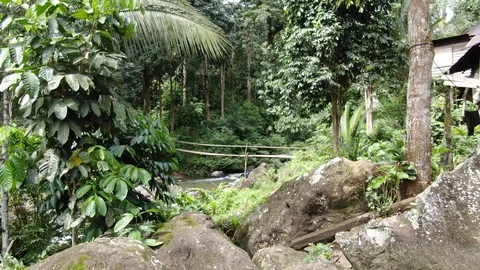 Indonesia Vídeos de archivo 129051878