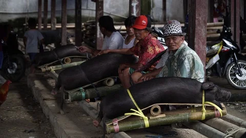 Indonesia Vídeos de archivo 129252973