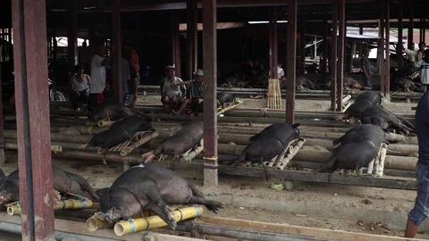 Indonesia Vídeos de archivo 129253067