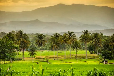 Indonesia, Java Island, Landscape with mountains Stock-Fotos