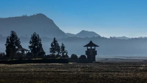 Indonesia, Java, Silhouette of trees at Bromo Tengger Semeru National Park. Stock Photos