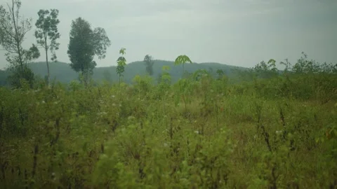 Indonesia landscape Stock Footage 214333392