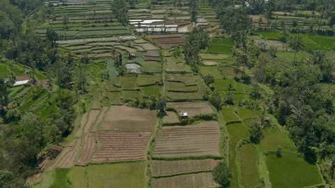 Indonesia, Lombok - push in on rice fields and mountains, skimming trees Stock Footage 121944329