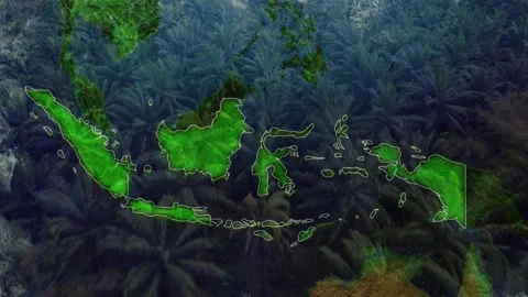 Indonesia Map Over Vast Palm Oil Plantation Stock Footage 336479398
