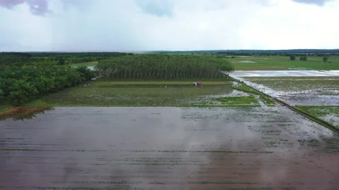 Indonesia nature Vídeo Stock 221839231