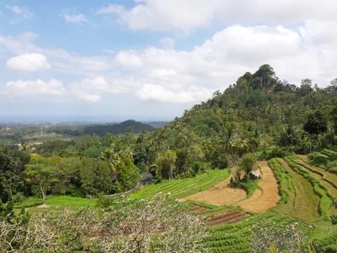 INDONESIA NATURE Stock Photos