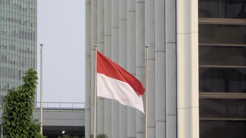 Indonesia or Monaco Flag 스톡 동영상 133715654