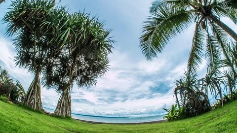 Indonesia Palm Tree Ocean View Timelapse 4k Stock-Footage 70449684