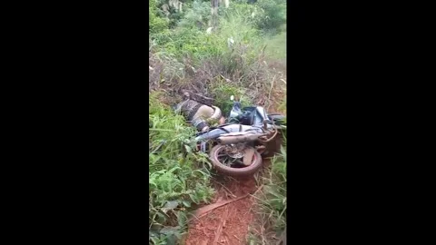 Indonesia: Python 'knocks farmer, 57, from his motorcycle' and kills him ... Vidéo 322150239