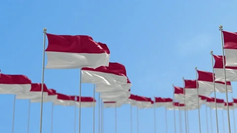 Indonesia Row Of Flags 3D Animation Stock-Footage 148698605